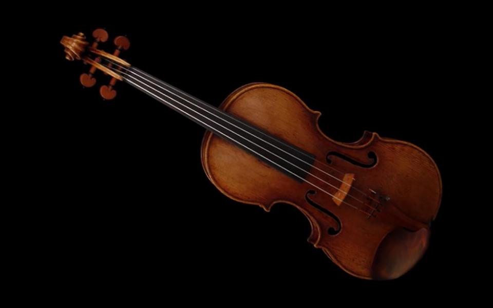 Violin